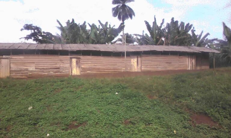 WhatsApp Image 2024-12-17 at 07.44.28