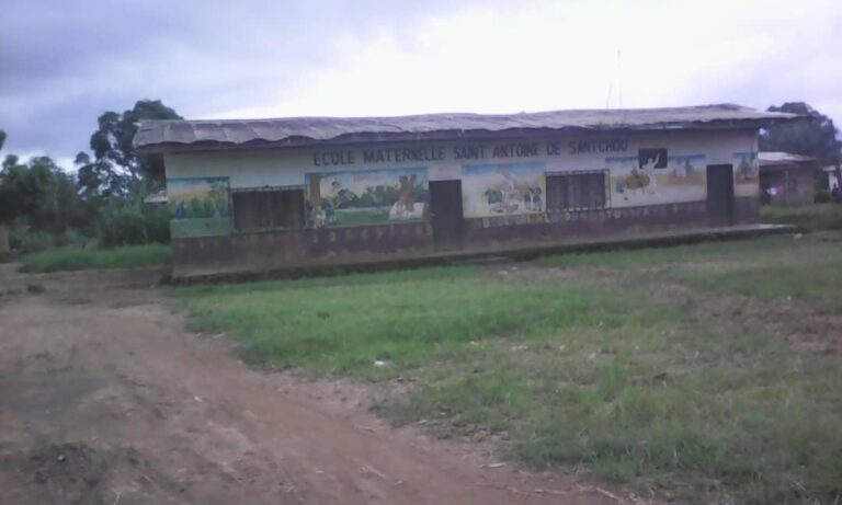 WhatsApp Image 2024-12-17 at 07.45.59